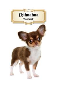Chihuahua Notebook