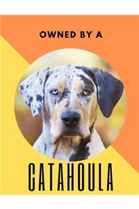 Owned by a Catahoula
