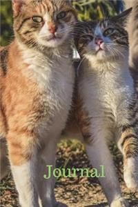 Journal