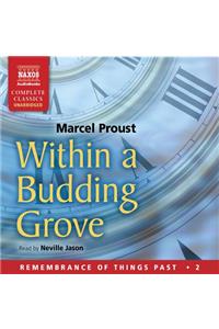 Within a Budding Grove