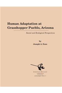 Human Adaptation at Grasshopper Pueblo, Arizona