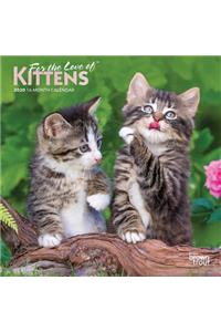 Kittens, for the Love of 2020 Mini 7x7 Foil