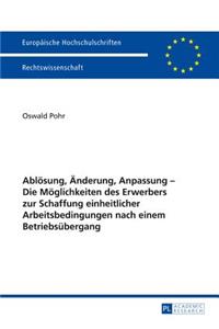 Abloesung, Aenderung, Anpassung - Die Moeglichkeiten des Erwerbers zur Schaffung einheitlicher Arbeitsbedingungen nach einem Betriebsuebergang