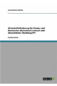 Wirtschaftsf?rderung F?r Cluster Und Netzwerke