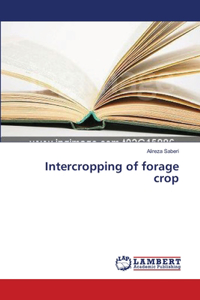 Intercropping of forage crop