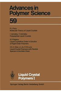 Liquid Crystal Polymers I