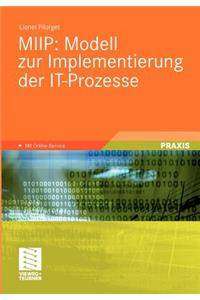 Miip: Modell Zur Implementierung Der It-Prozesse