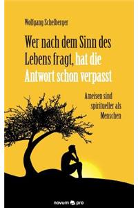 Wer Nach Dem Sinn Des Lebens Fragt, Hat Die Antwort Schon Verpasst