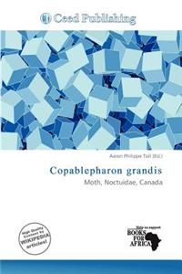 Copablepharon Grandis