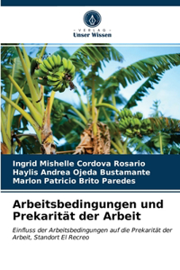 Arbeitsbedingungen und Prekarität der Arbeit