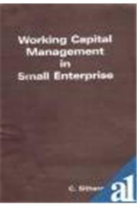 Working Capital Management in Small Enterprise