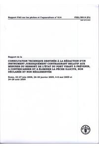 Rapport de La Consultation Technique Destinee a la Redaction D'Un Instrument Juridiquement Contraignant Relatif Aux Mesures