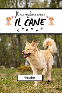 mio migliore amico