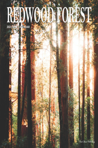 Redwood Forest: 2021 Calendar