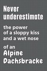 Never underestimate the power of a sloppy kiss and a wet nose of an Alpine Dachsbracke