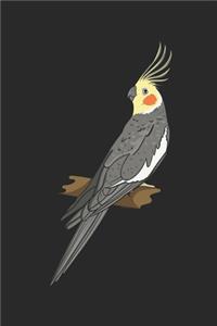 Cockatiel