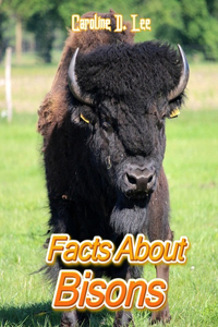 Facts About Bisons