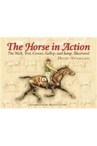 The Horse in Action