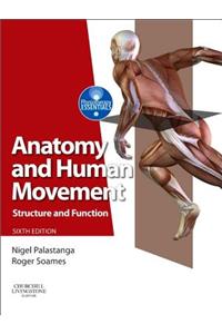 Anatomy and Human Movement