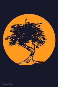 Bonsai Tree