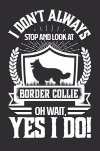 I Don't Always Stop and Look At Border Collie OH Wait, Yes I Do!
