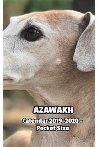 Azawakh Calendar 2019-2020 - Pocket Size