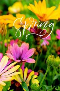 Spring