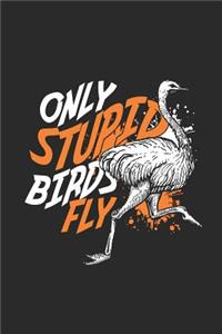 Only Stupid Birds Fly