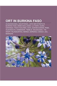 Ort in Burkina Faso