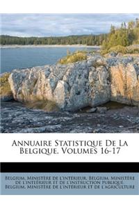 Annuaire Statistique de la Belgique, Volumes 16-17