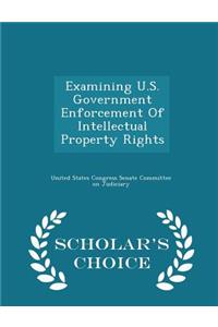 Examining U.S. Government Enforcement of Intellectual Property Rights - Scholar's Choice Edition