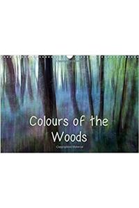 Colours of the Woods 2017