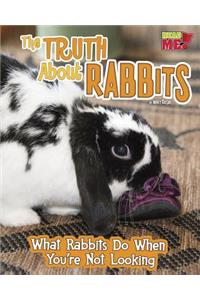 The Truth about Rabbits