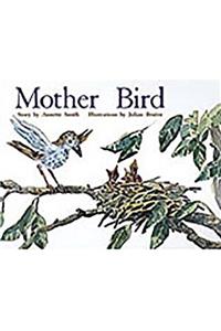Mother Bird