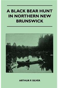 Black Bear Hunt In Northern New Brunswick