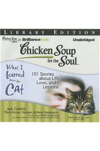 Chicken Soup for the Soul: What I Learned from the Cat