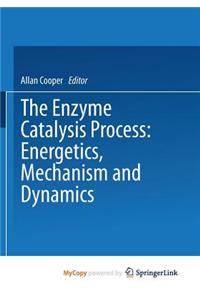 The Enzyme Catalysis Process