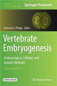 Vertebrate Embryogenesis