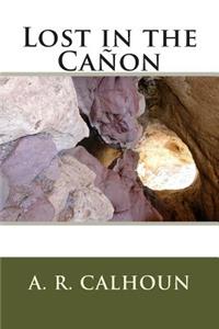 Lost in the Canon