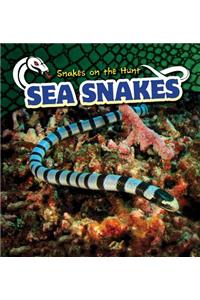 Sea Snakes