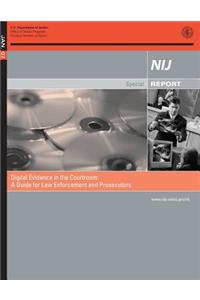 Digital Evidence in the Courtroom