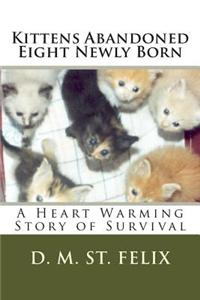 Kittens Abandoned Eight Newly Born