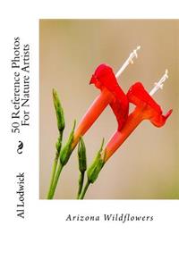 Arizona Wildflowers