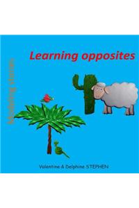 Learning opposites