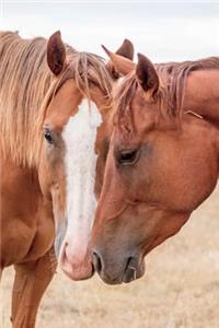 Horses in Love Journal