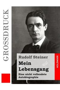 Mein Lebensgang (Großdruck)