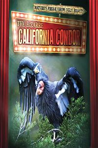 Bizarre California Condor