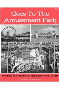 Goes To The Amusement Park
