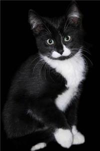 So Cute Black and White Kitten Journal