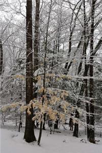 Journal Winter Snowstorm Photography
